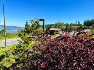 Carvings and artwork at Jamestown S'Klallam campus